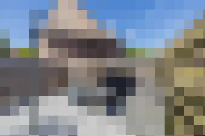 Jan Prinsheem 35 Hillegom thumbnail 36