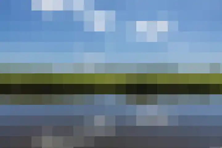Jan Prinsheem 35 Hillegom thumbnail 40