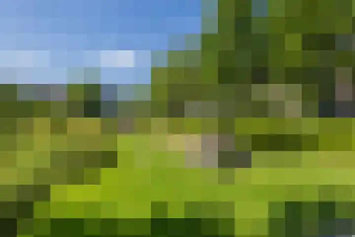 Jan Prinsheem 35 Hillegom thumbnail 41