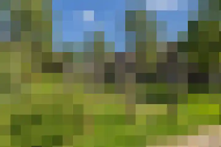 Jan Prinsheem 35 Hillegom thumbnail 42