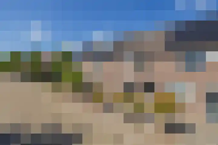 Jan Prinsheem 35 Hillegom thumbnail 43