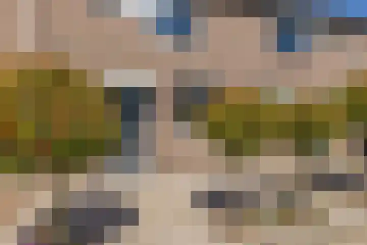 Jan Prinsheem 35 Hillegom thumbnail 45
