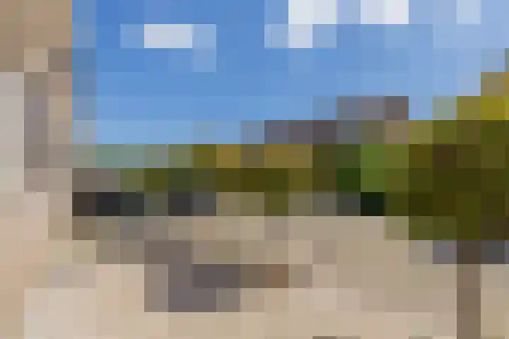 Jan Prinsheem 35 Hillegom thumbnail 46