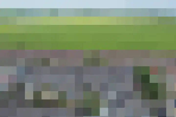 Jan Prinsheem 35 Hillegom thumbnail 47