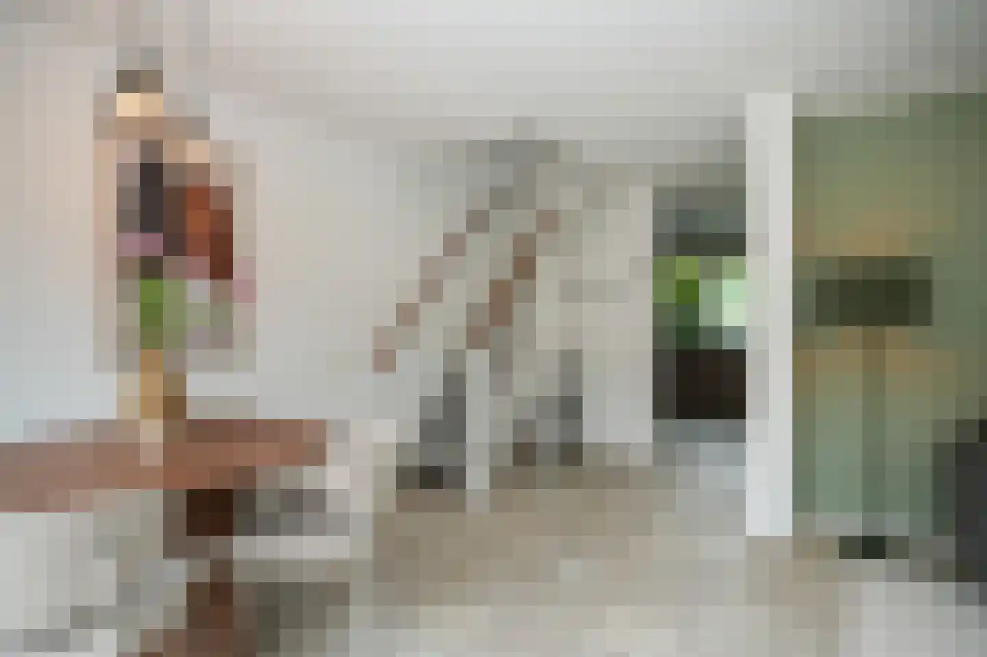 Jan Prinsstraat 44 Hengelo thumbnail 8