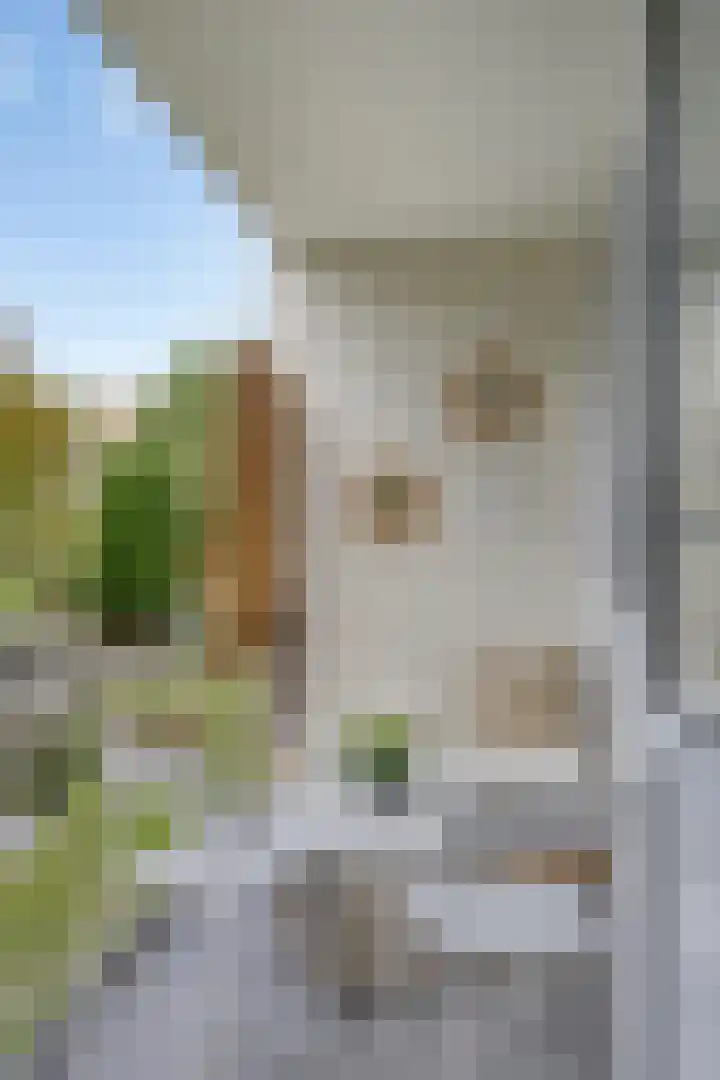Jan Prinsstraat 57 Weesp thumbnail 16