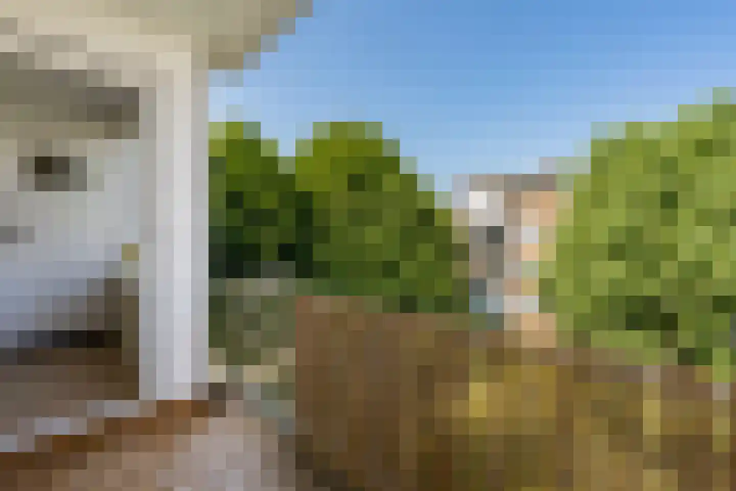 Jan Prinsstraat 61 Weesp thumbnail 10