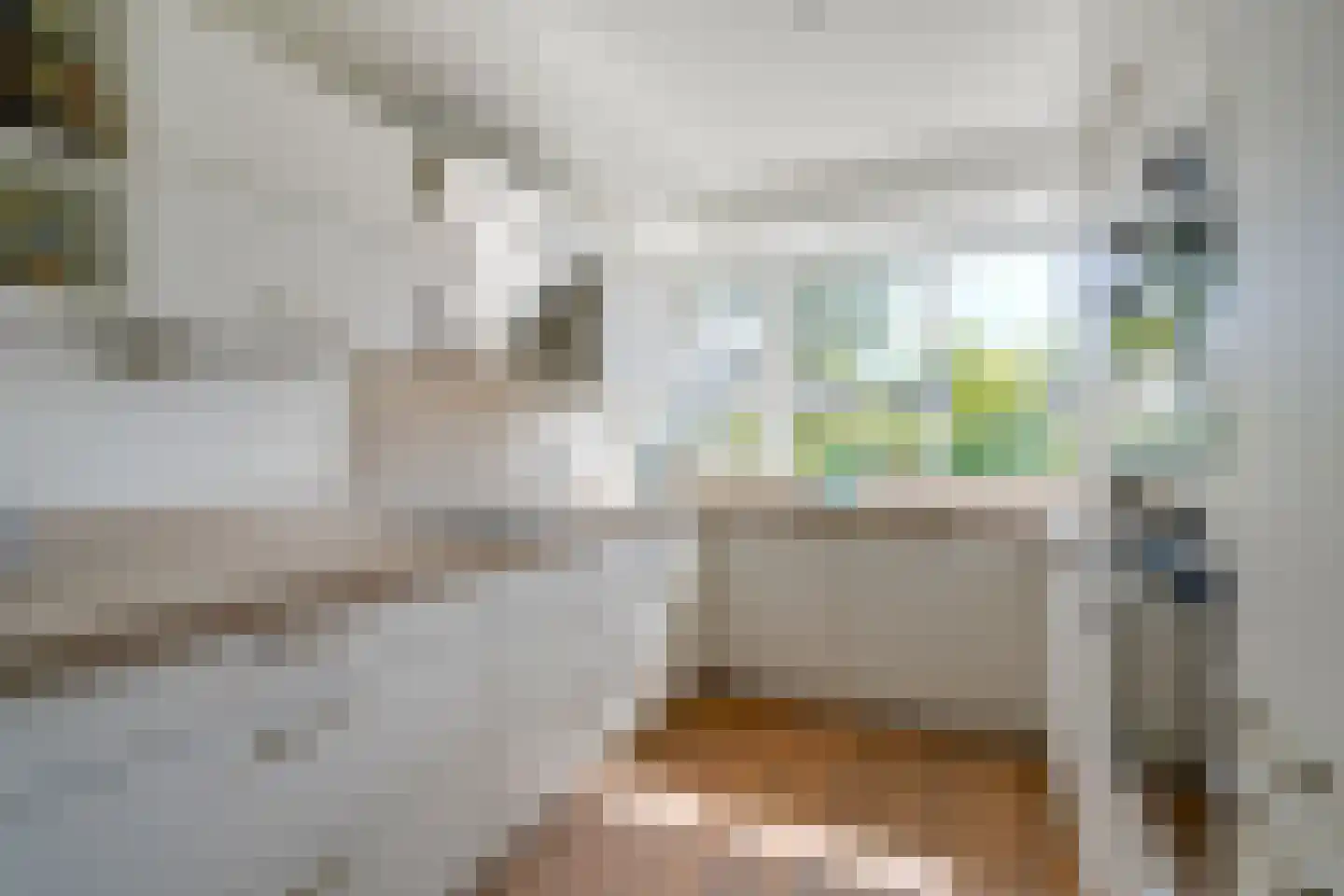Jan Provostlaan 56 Bilthoven thumbnail 18