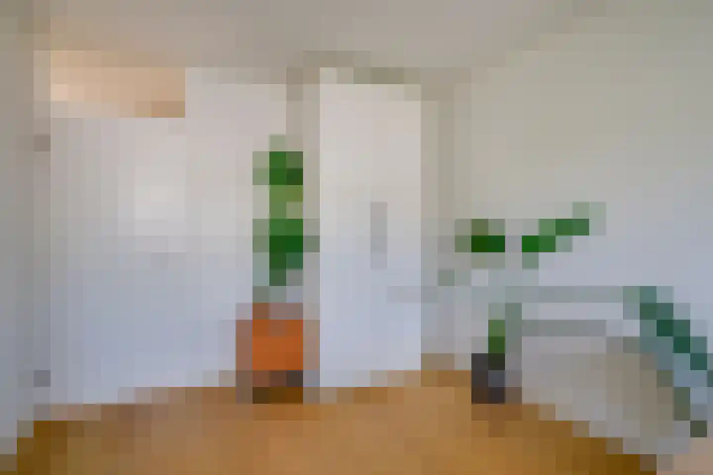Jan Provostlaan 56 Bilthoven thumbnail 35