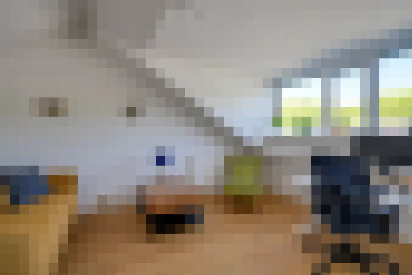 Jan Provostlaan 56 Bilthoven thumbnail 42