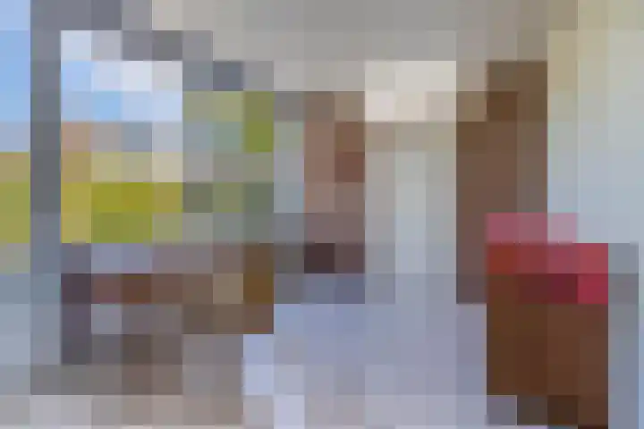 Jan Pzn Coenstraat 2 Veghel thumbnail 10