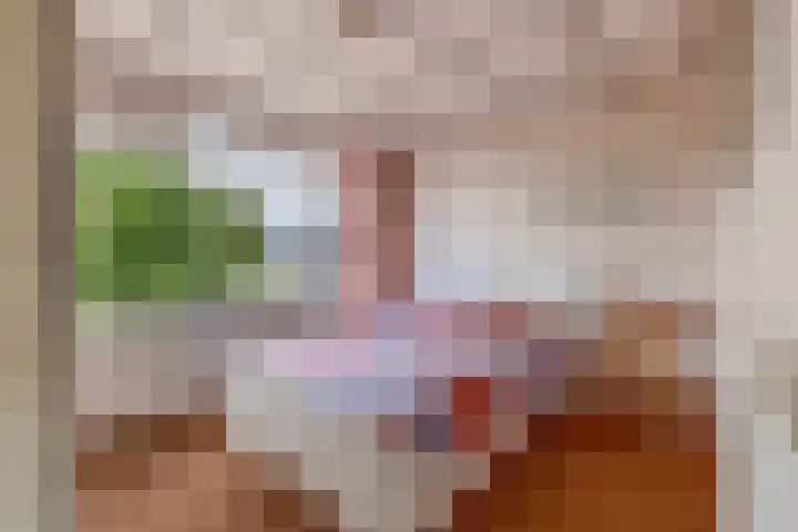 Jan Pzn Coenstraat 2 Veghel thumbnail 15