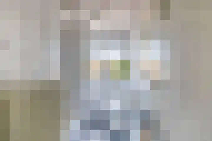 Jan Pzn Coenstraat 2 Veghel thumbnail 16
