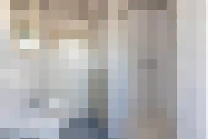 Jan Pzn Coenstraat 2 Veghel thumbnail 17