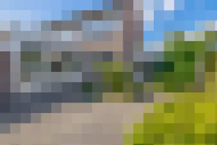 Jan Pzn Coenstraat 2 Veghel thumbnail 19