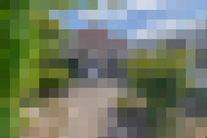 Jan Pzn Coenstraat 2 Veghel thumbnail 20