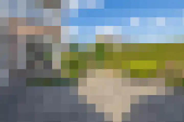 Jan Pzn Coenstraat 2 Veghel thumbnail 22
