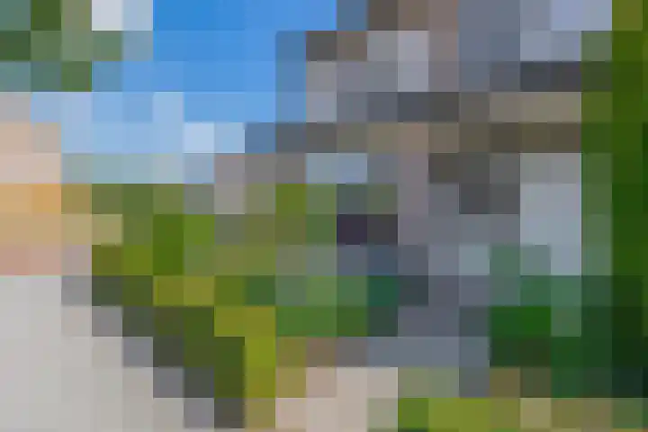 Jan Pzn Coenstraat 2 Veghel thumbnail 24
