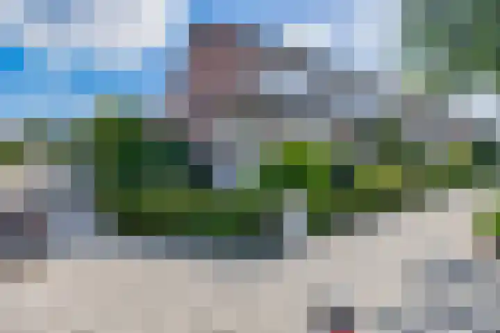 Jan Pzn Coenstraat 2 Veghel thumbnail 30