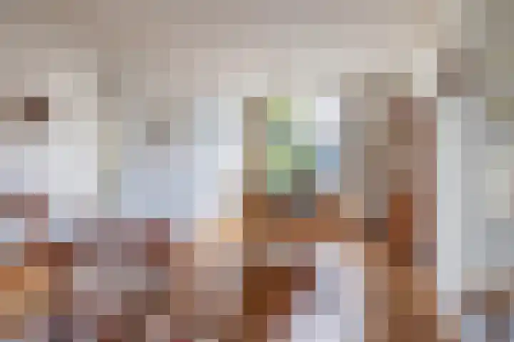 Jan Pzn Coenstraat 2 Veghel thumbnail 5