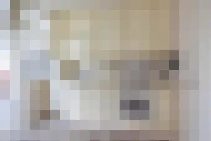 Jan Pzn Coenstraat 2 Veghel thumbnail 7