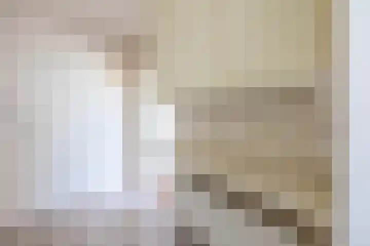 Jan Pzn Coenstraat 2 Veghel thumbnail 8
