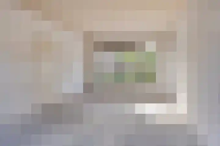 Jan Pzn Coenstraat 5 Veghel thumbnail 10