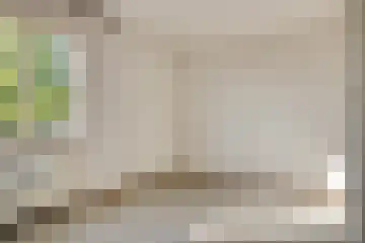 Jan Pzn Coenstraat 5 Veghel thumbnail 17