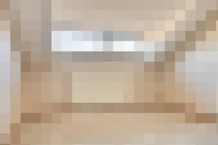 Jan Pzn Coenstraat 5 Veghel thumbnail 23