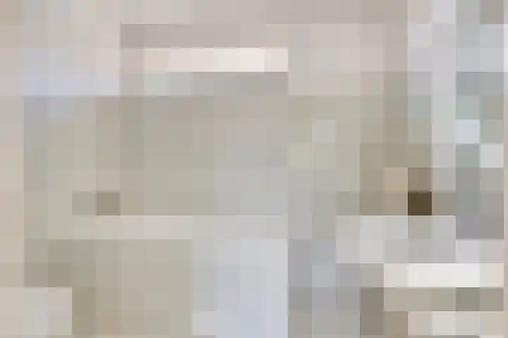 Jan Pzn Coenstraat 5 Veghel thumbnail 4
