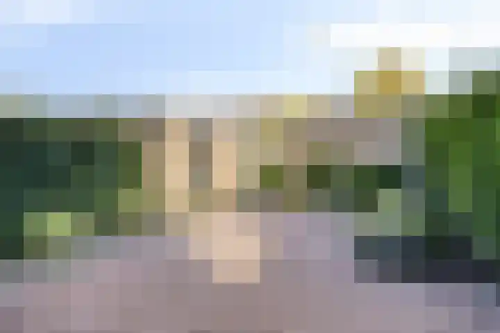Jan Pzn Coenstraat 5 Veghel thumbnail 5