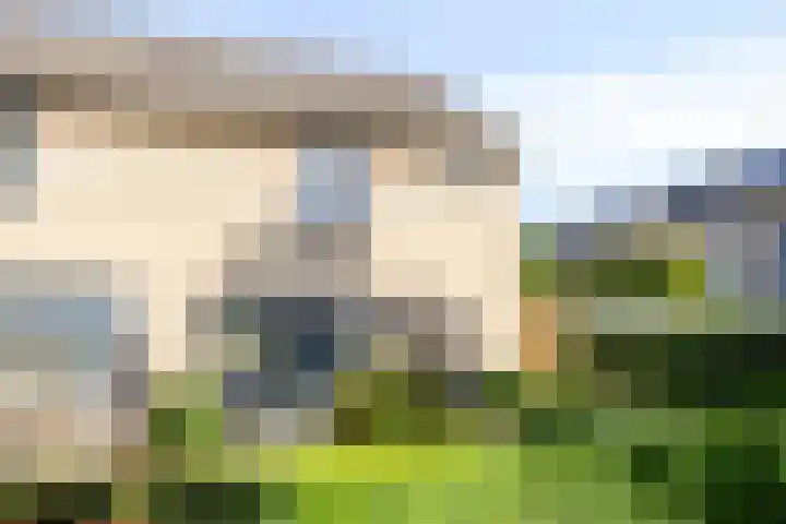 Jan Pzn Coenstraat 5 Veghel thumbnail 6