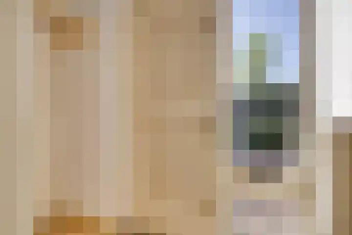 Jan Pzn Coenstraat 5 Veghel thumbnail 7