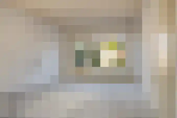 Jan Pzn Coenstraat 5 Veghel thumbnail 9