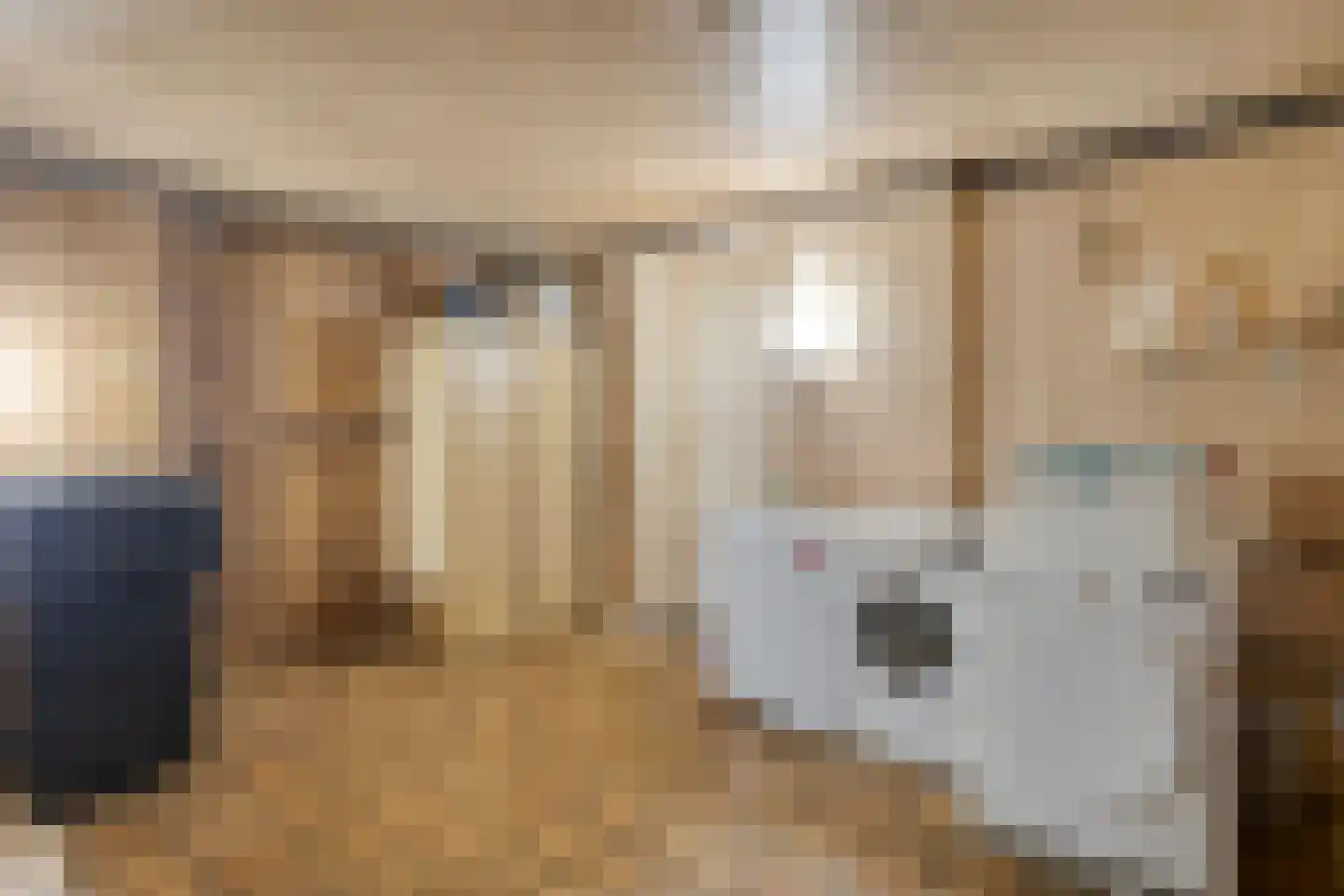 Jan R. Stuutstraat F 29 Nieuwe Pekela thumbnail 15