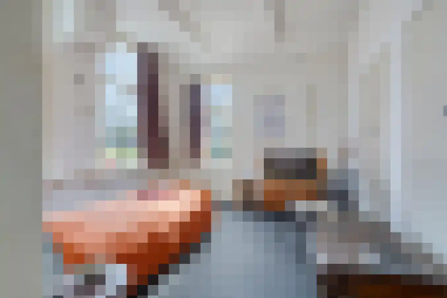 Jan R. Stuutstraat F 29 Nieuwe Pekela thumbnail 18
