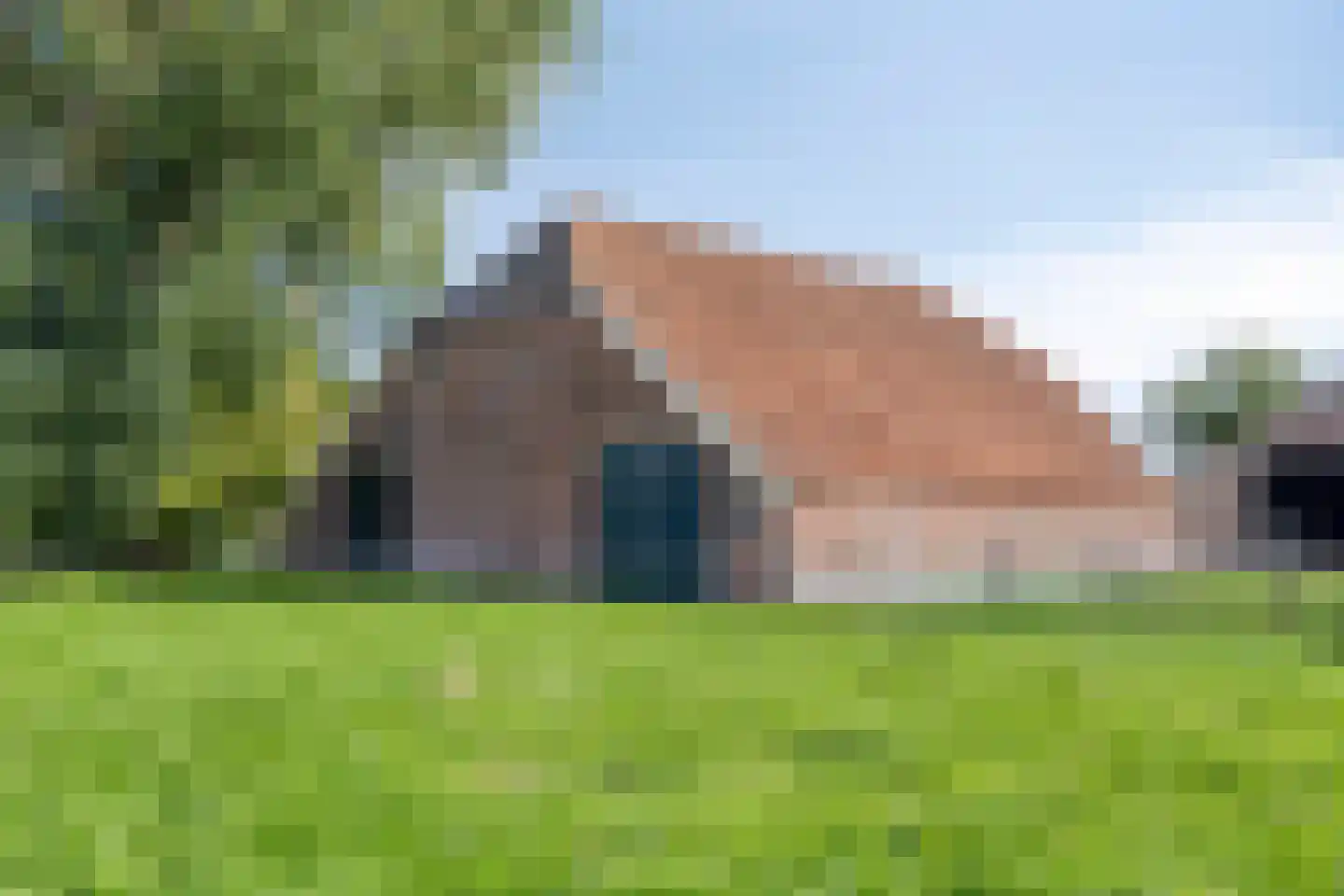 Jan R. Stuutstraat F 29 Nieuwe Pekela thumbnail 41