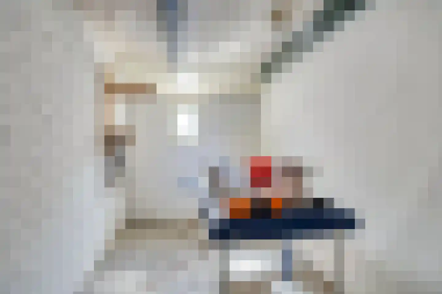 Jan R. Stuutstraat F 29 Nieuwe Pekela thumbnail 59