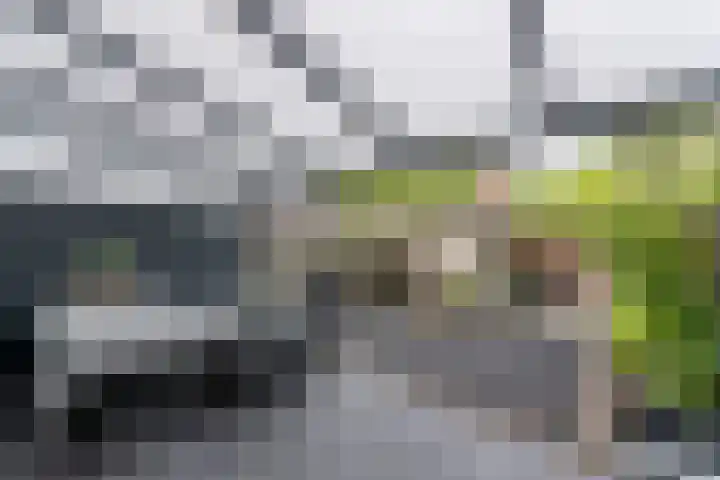 Jan Rijkenstraat 32 Deventer thumbnail 16