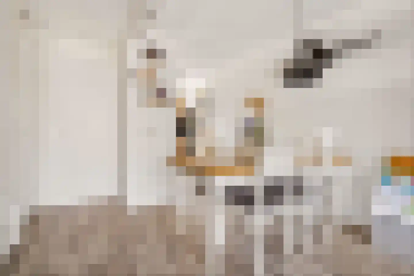 Jan Rijksenstraat 14 Almere thumbnail 18