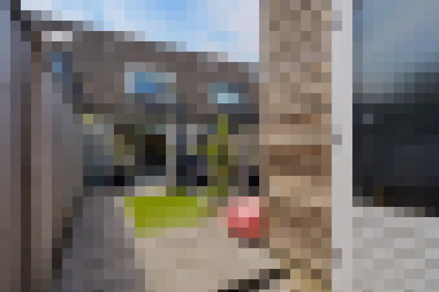 Jan Rijksenstraat 14 Almere thumbnail 46