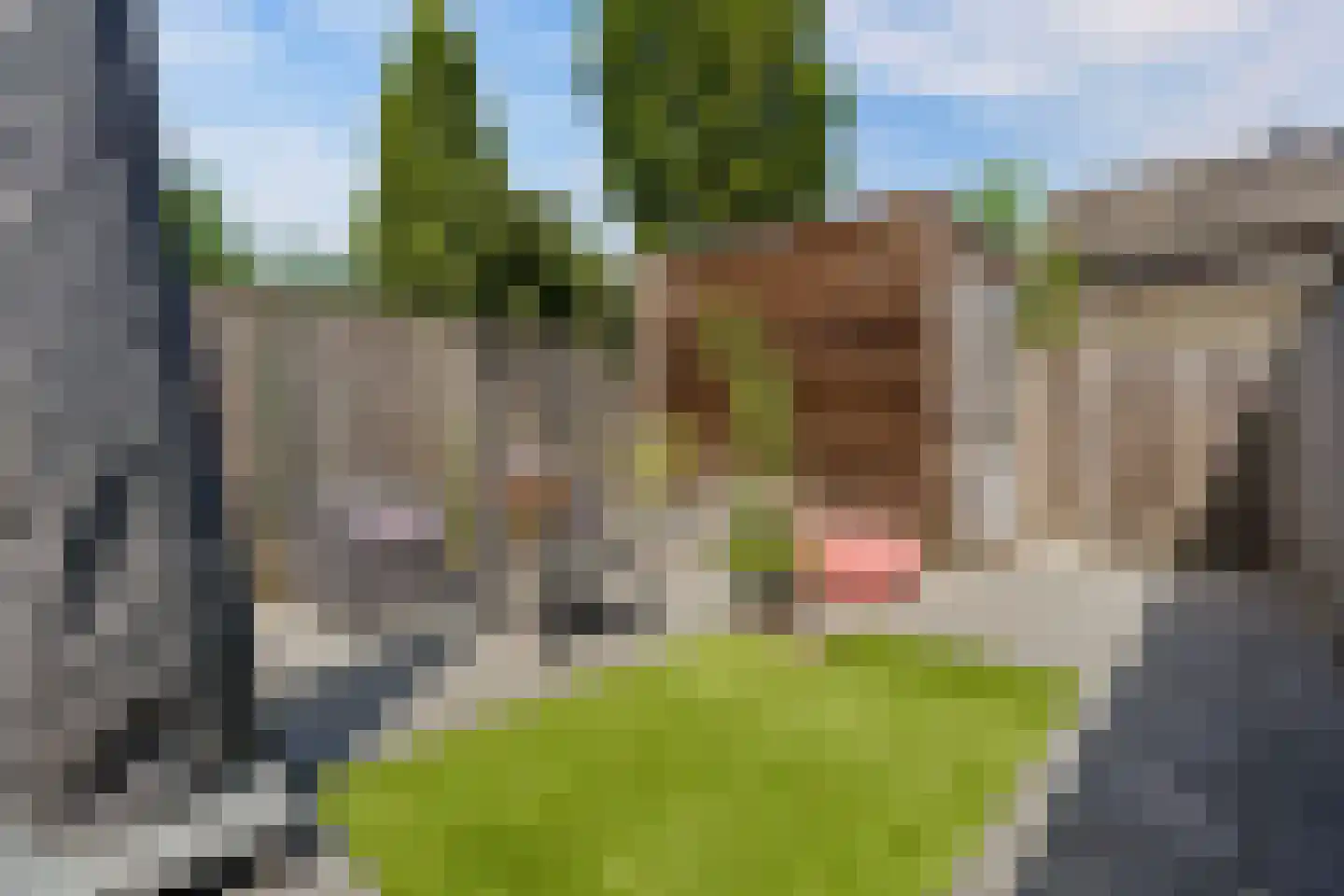 Jan Rijksenstraat 14 Almere thumbnail 50