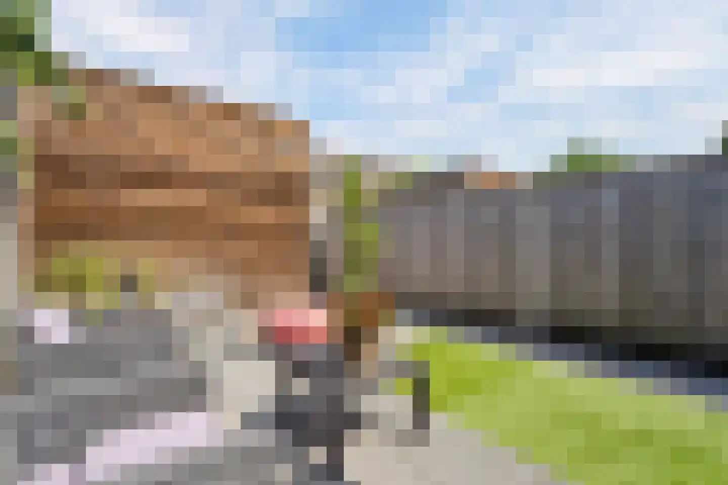 Jan Rijksenstraat 14 Almere thumbnail 52