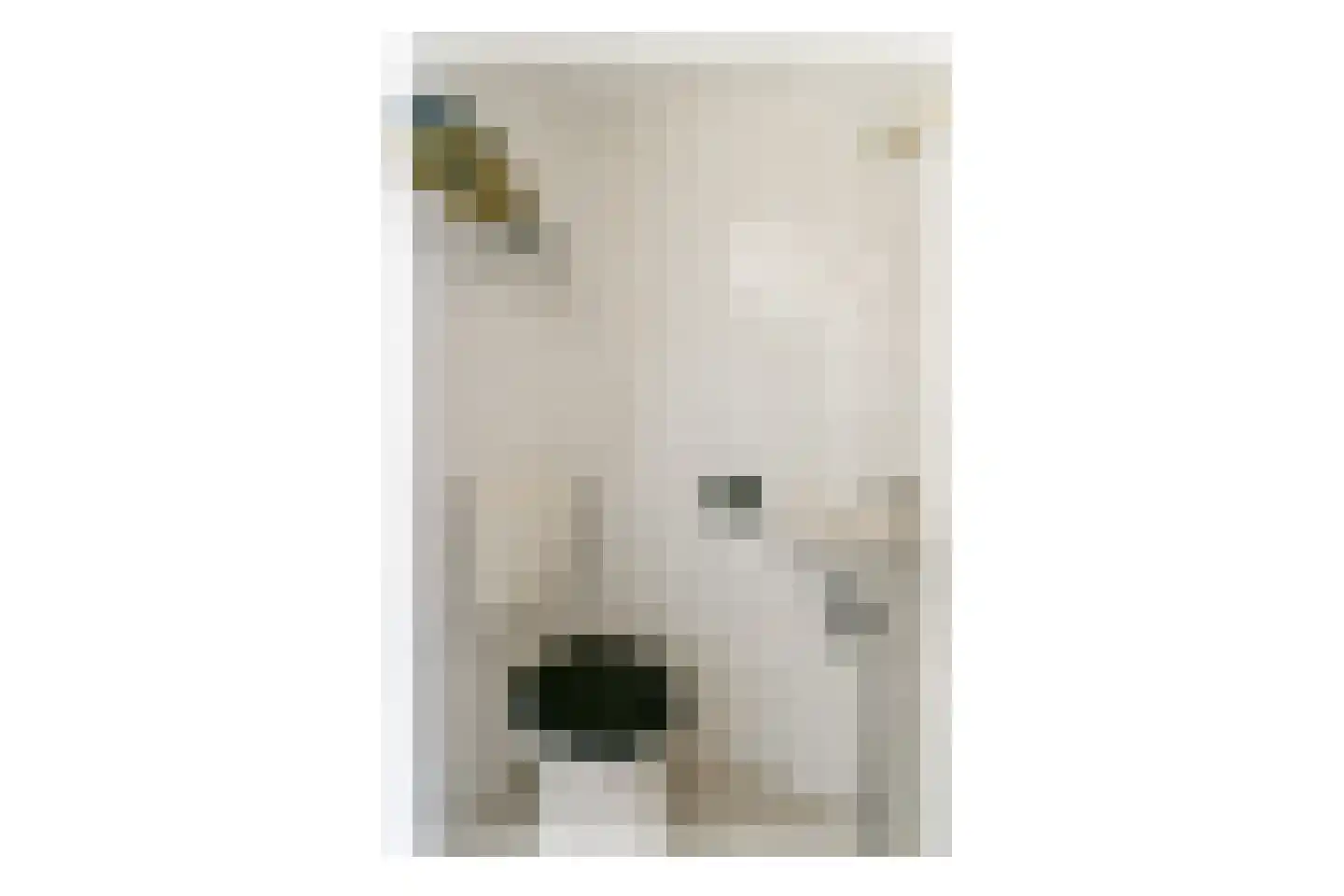 Jan Rijksenstraat 60 Almere thumbnail 8