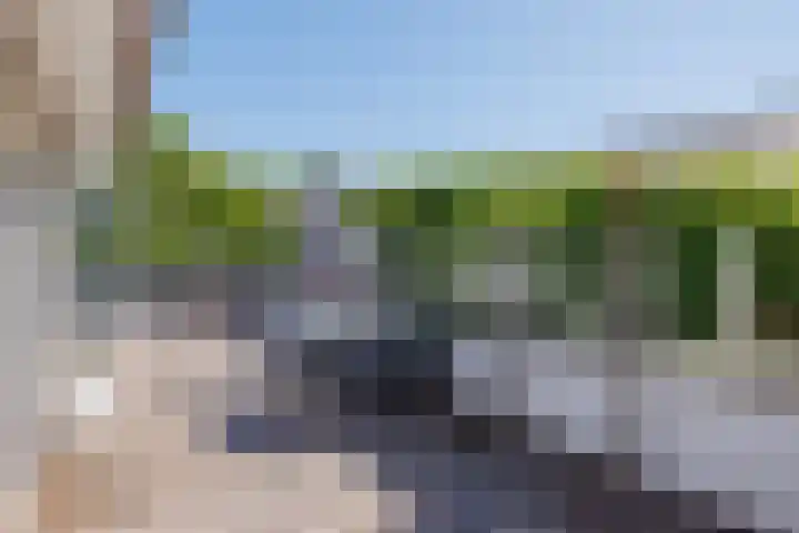 Jan Roepeshiem 14 Hollum thumbnail 22