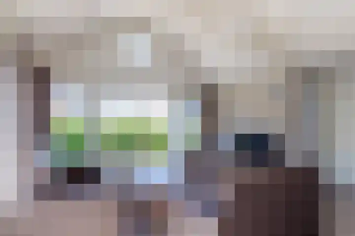 Jan Roepeshiem 14 Hollum thumbnail 6