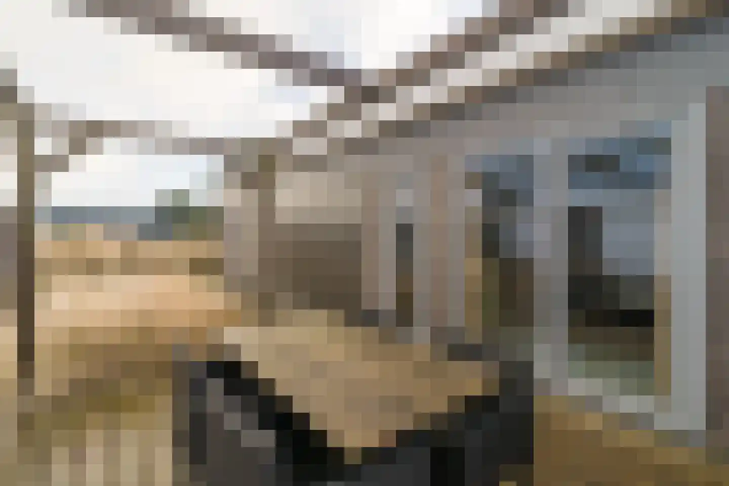 Jan Roepespad 204 Hollum thumbnail 21