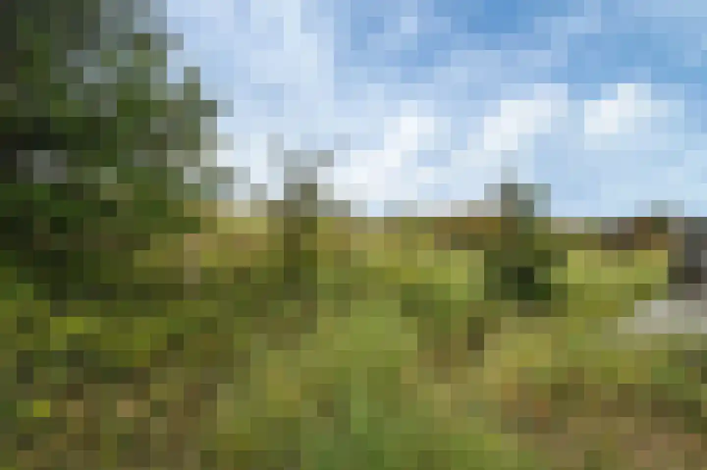 Jan Roepespad 4 279 Hollum thumbnail 20