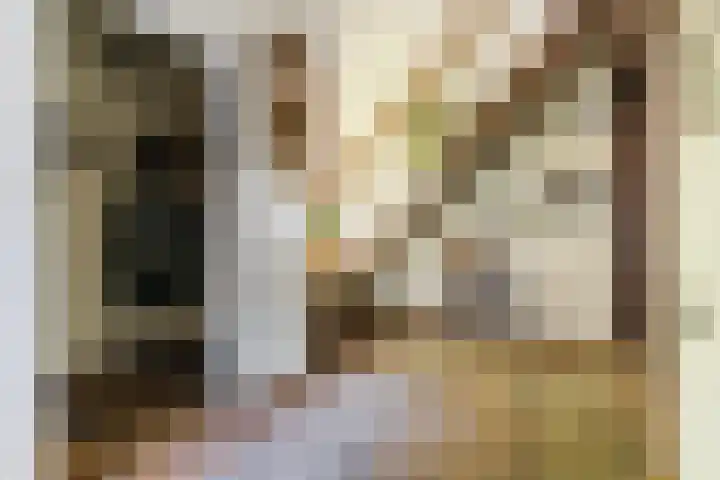 Jan Roeststraat 23 Bergeijk thumbnail 5