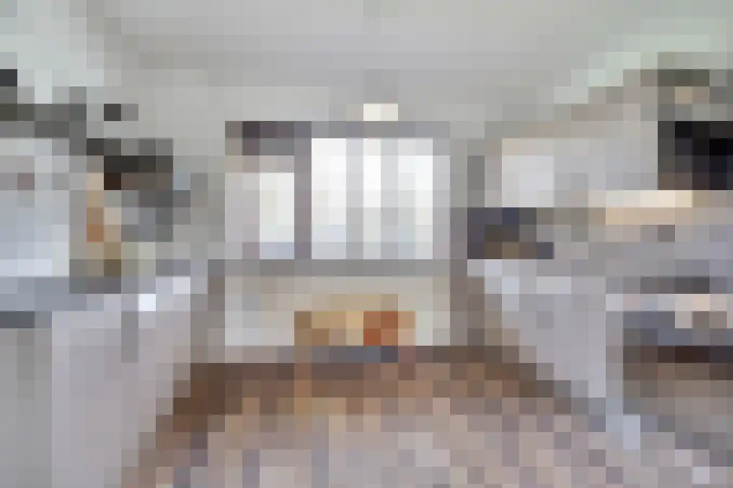 Jan Roeststraat 4 Bergeijk thumbnail 16